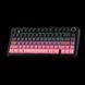 Механическая беспроводная клавиатура Aula F75 / RGB / HOT SWAP / Pink Gradient KB-119 фото 6